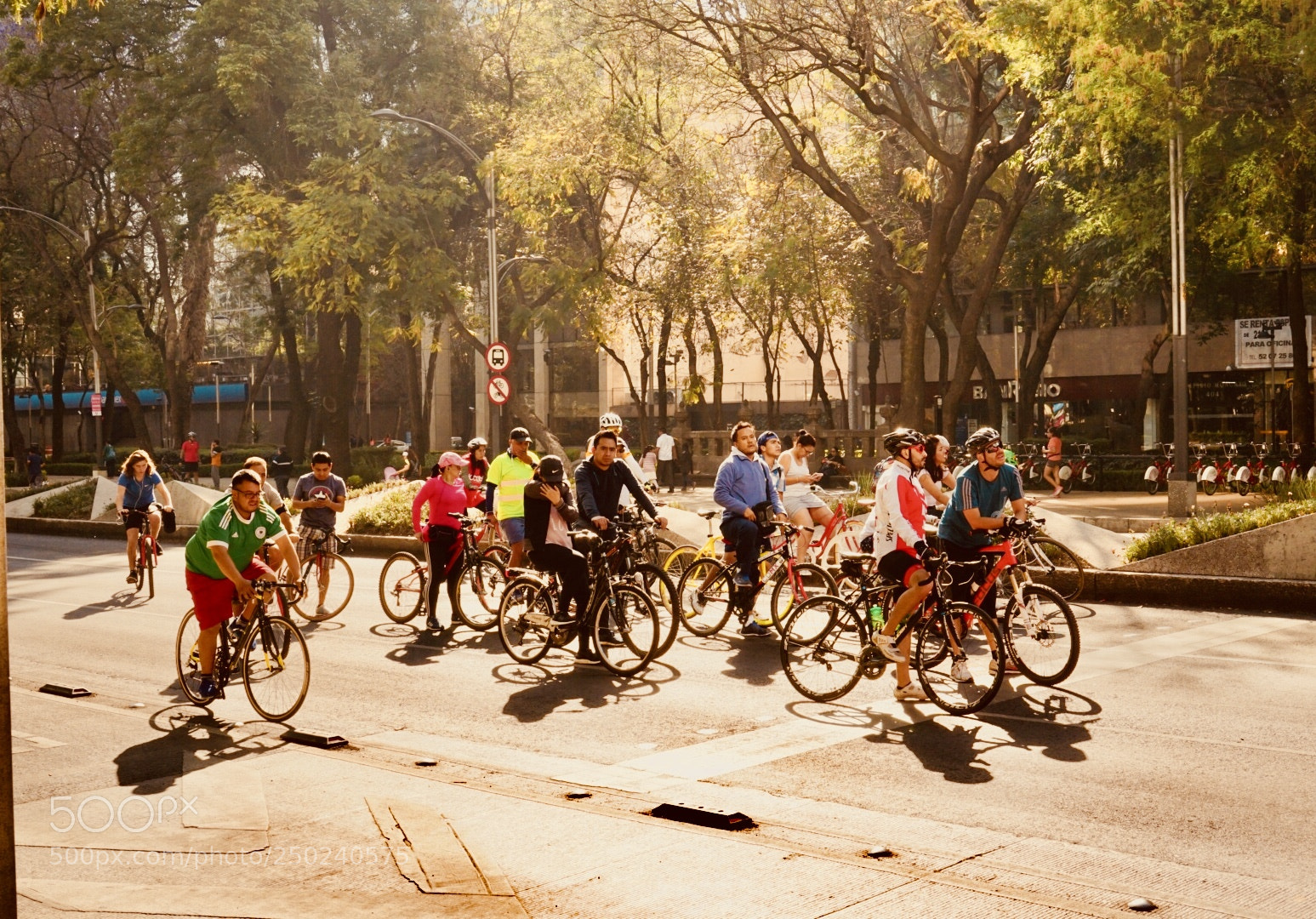 Sony a7 II sample photo. Sunday family ride photography