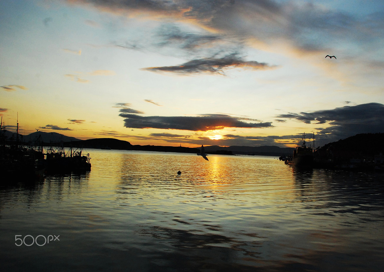 Nikon D80 sample photo. Sunset by the bay photography