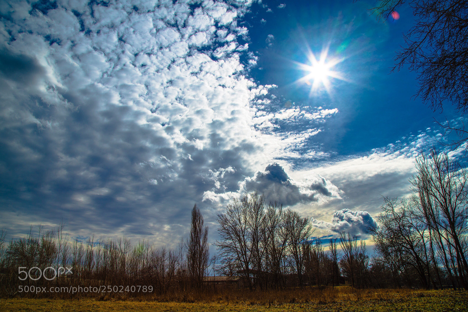 Sony a7R III sample photo. Spring is coming photography