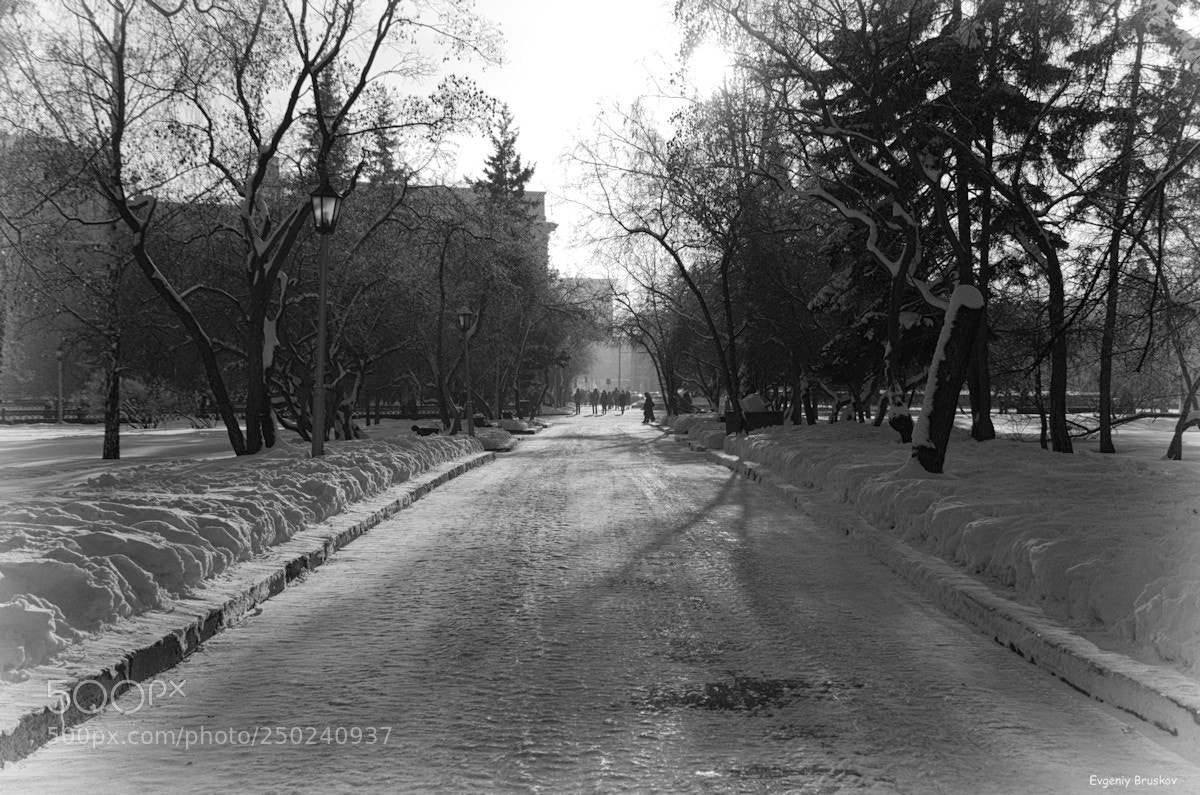 Nikon D7000 sample photo. Новосибирск photography