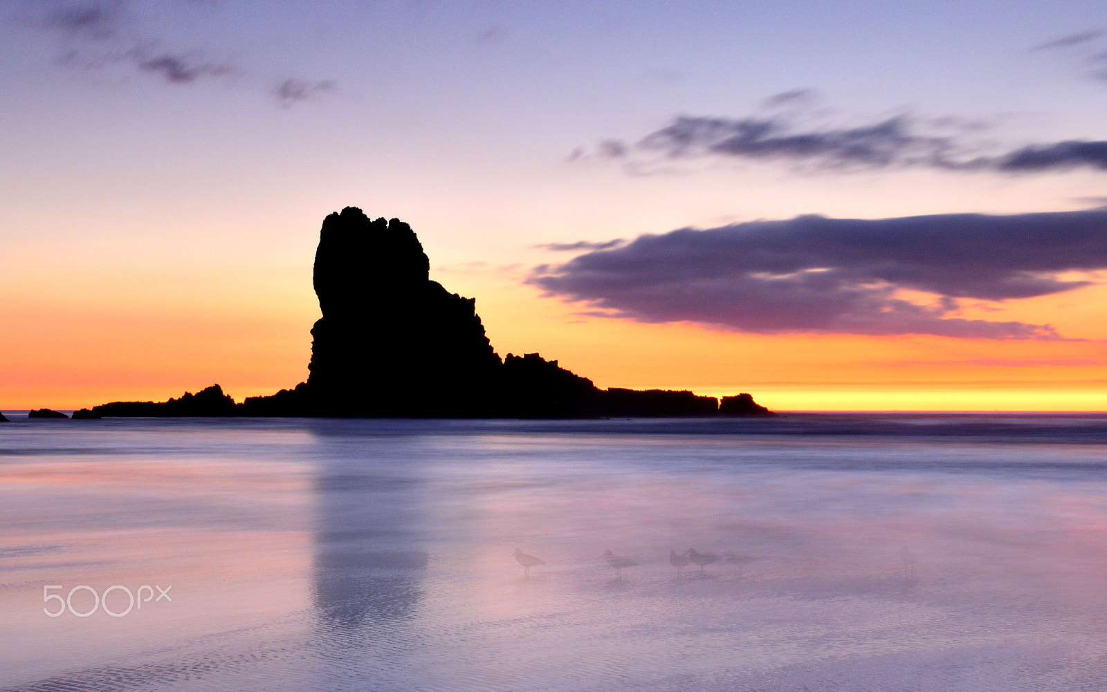 Nikon AF-S Nikkor 24-70mm F2.8G ED sample photo. Sunset over anawhata beach, auckland west. photography