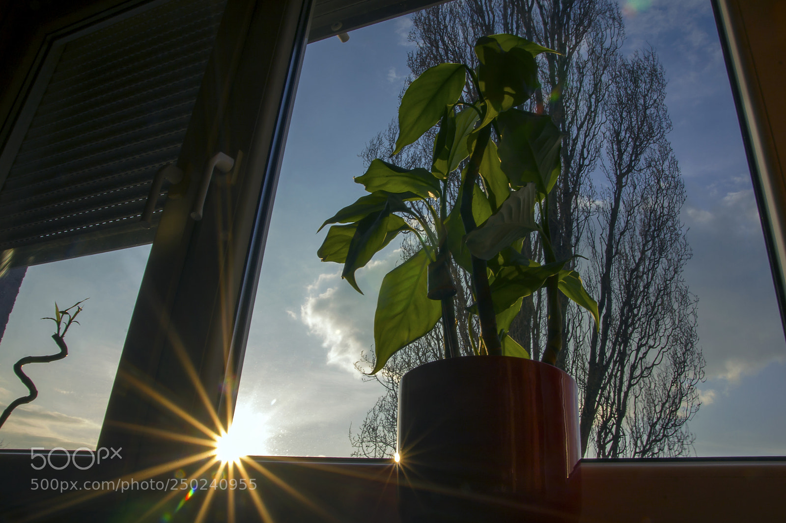 Canon EOS 40D sample photo. Inside out photography