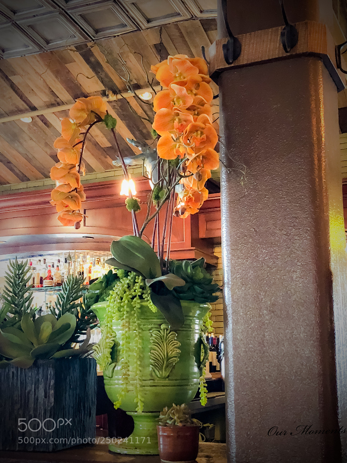 Apple iPhone 8 Plus sample photo. Orange flowers, life style photography