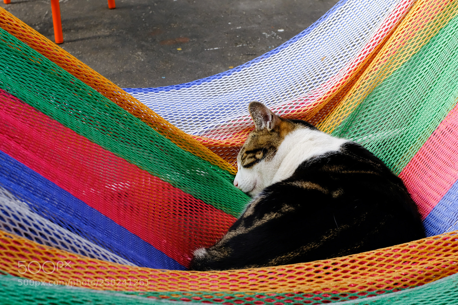 Fujifilm X100F sample photo. Untitled photography