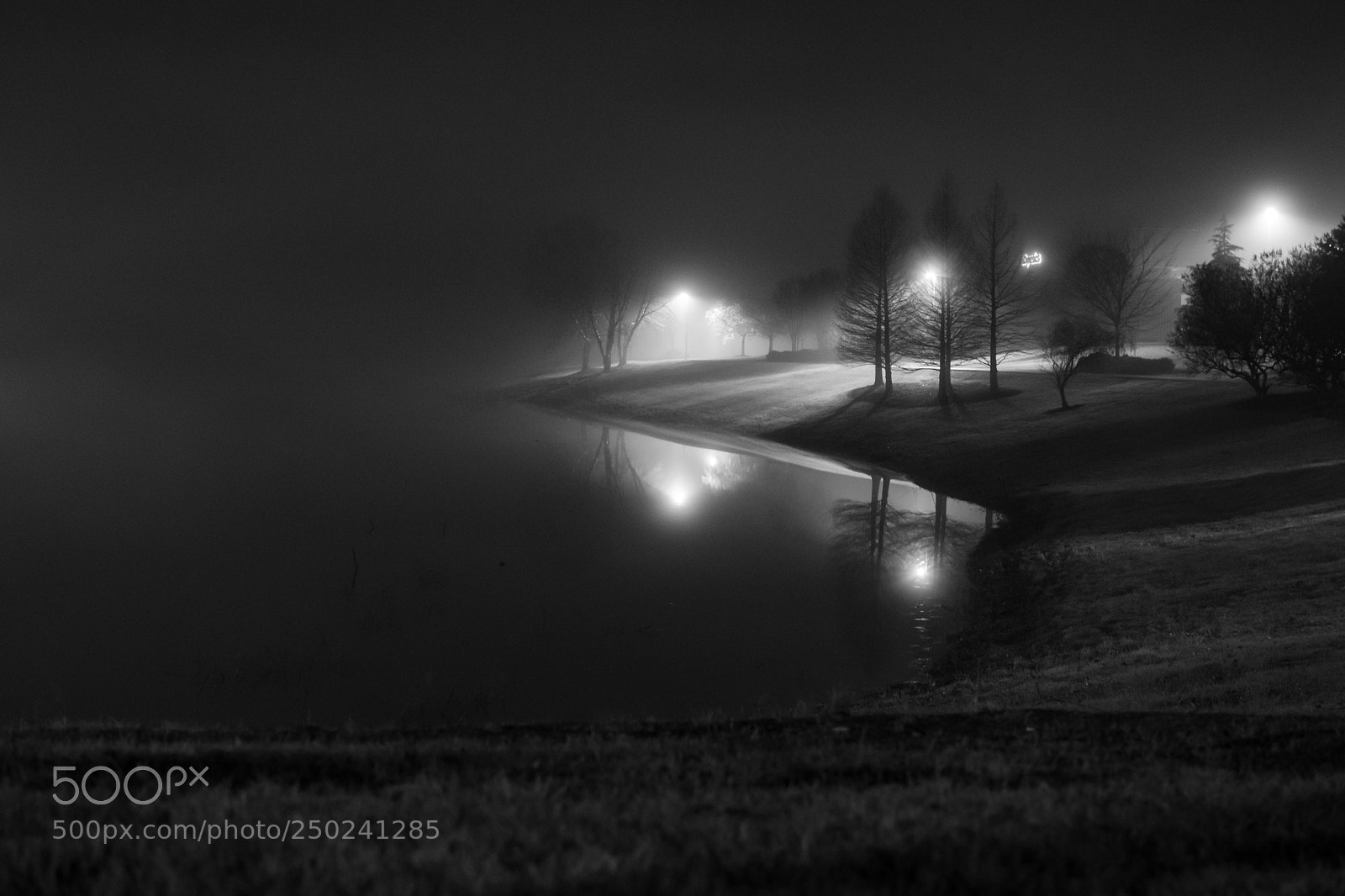 Nikon D5500 sample photo. Fog on the lake photography