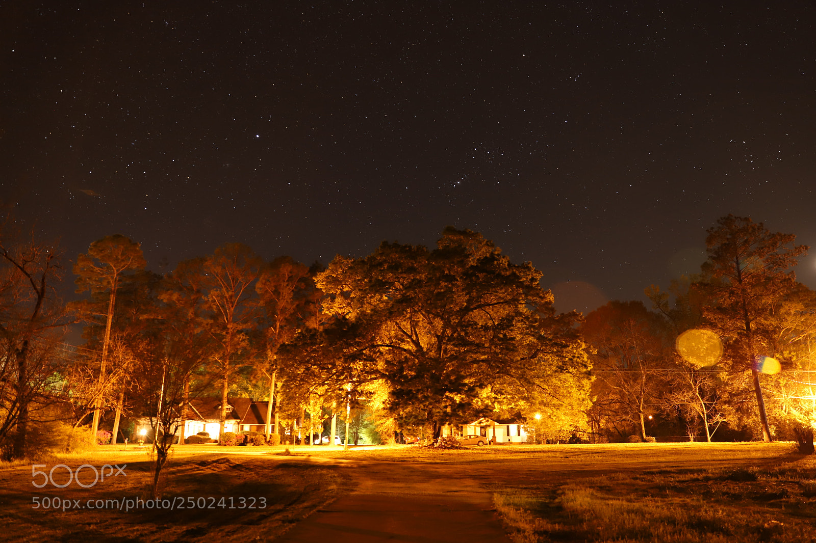 Canon EF 24-70mm F2.8L II USM sample photo. Stars photography
