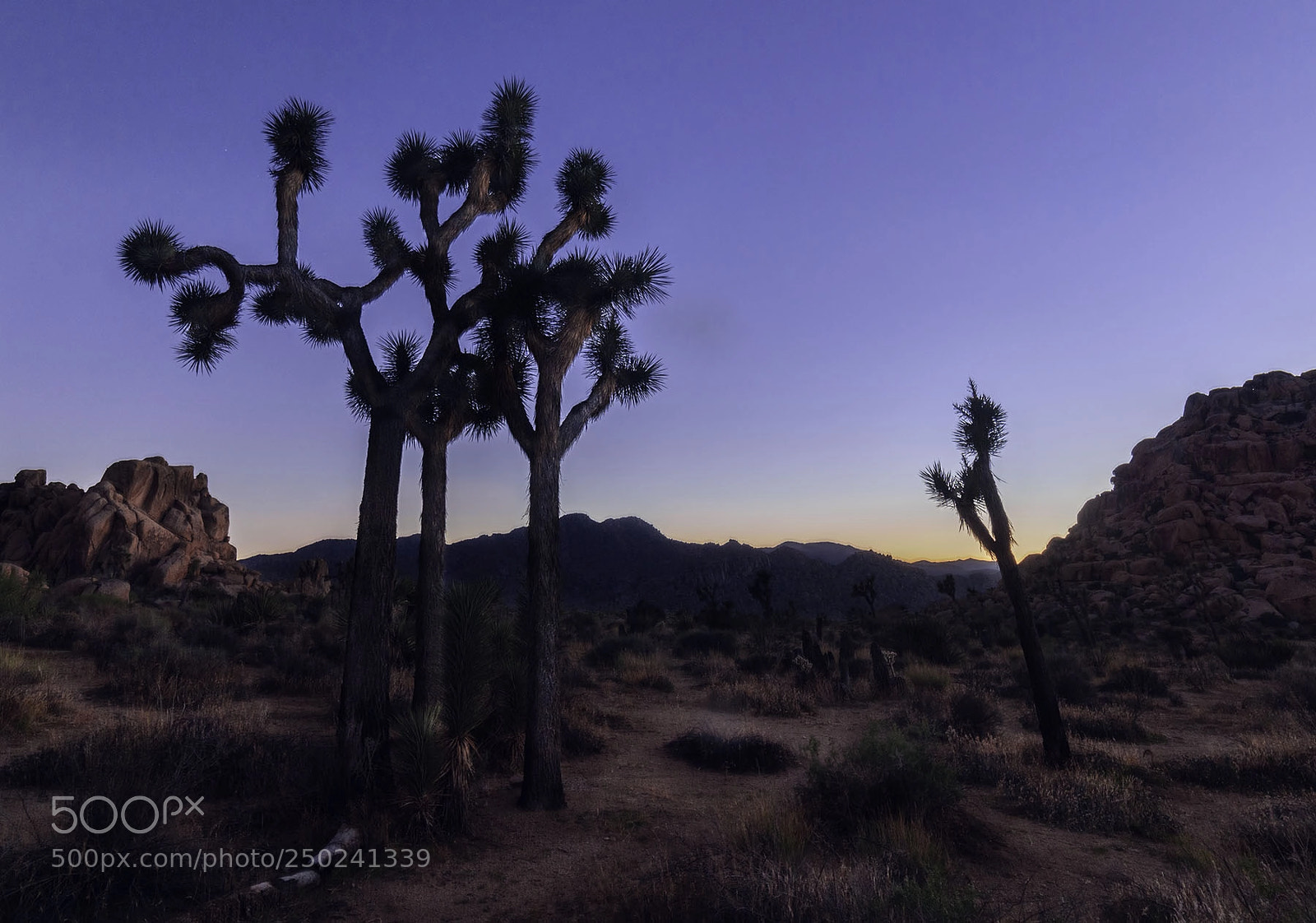 Nikon D810 sample photo. Into the blue hour photography