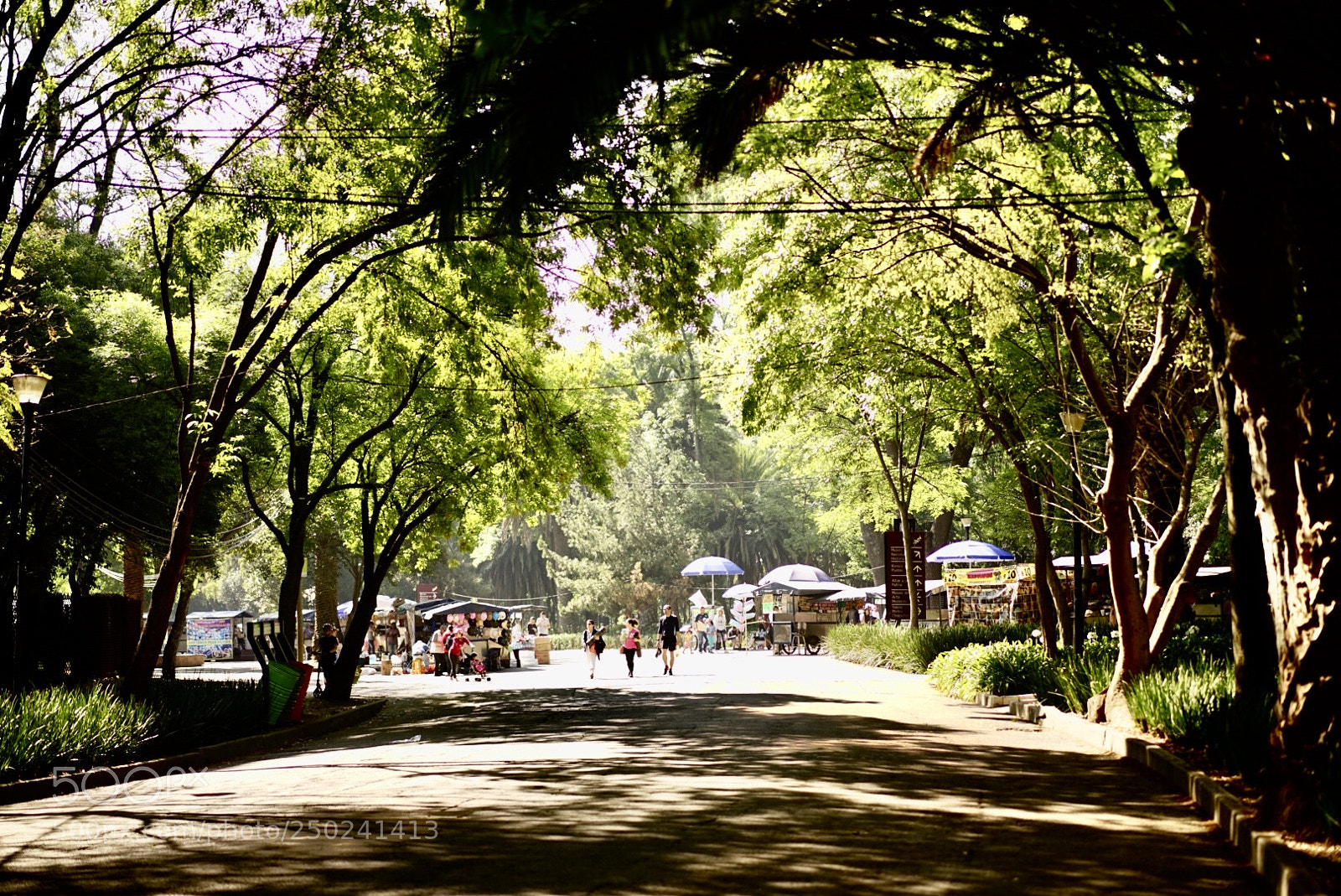 Sony a7 II sample photo. Bosque de chapultepec photography