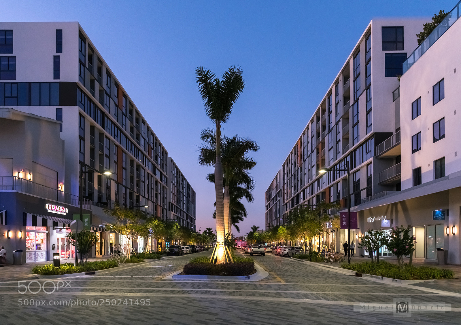 Nikon D850 sample photo. City place photography