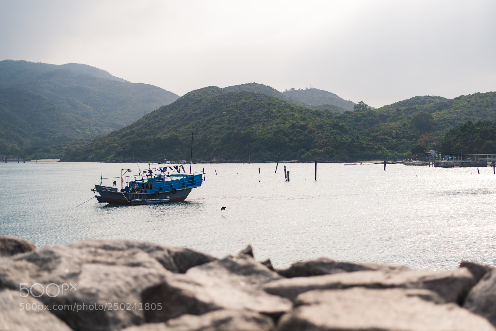 Nikon D810 sample photo. Motor boat parked photography