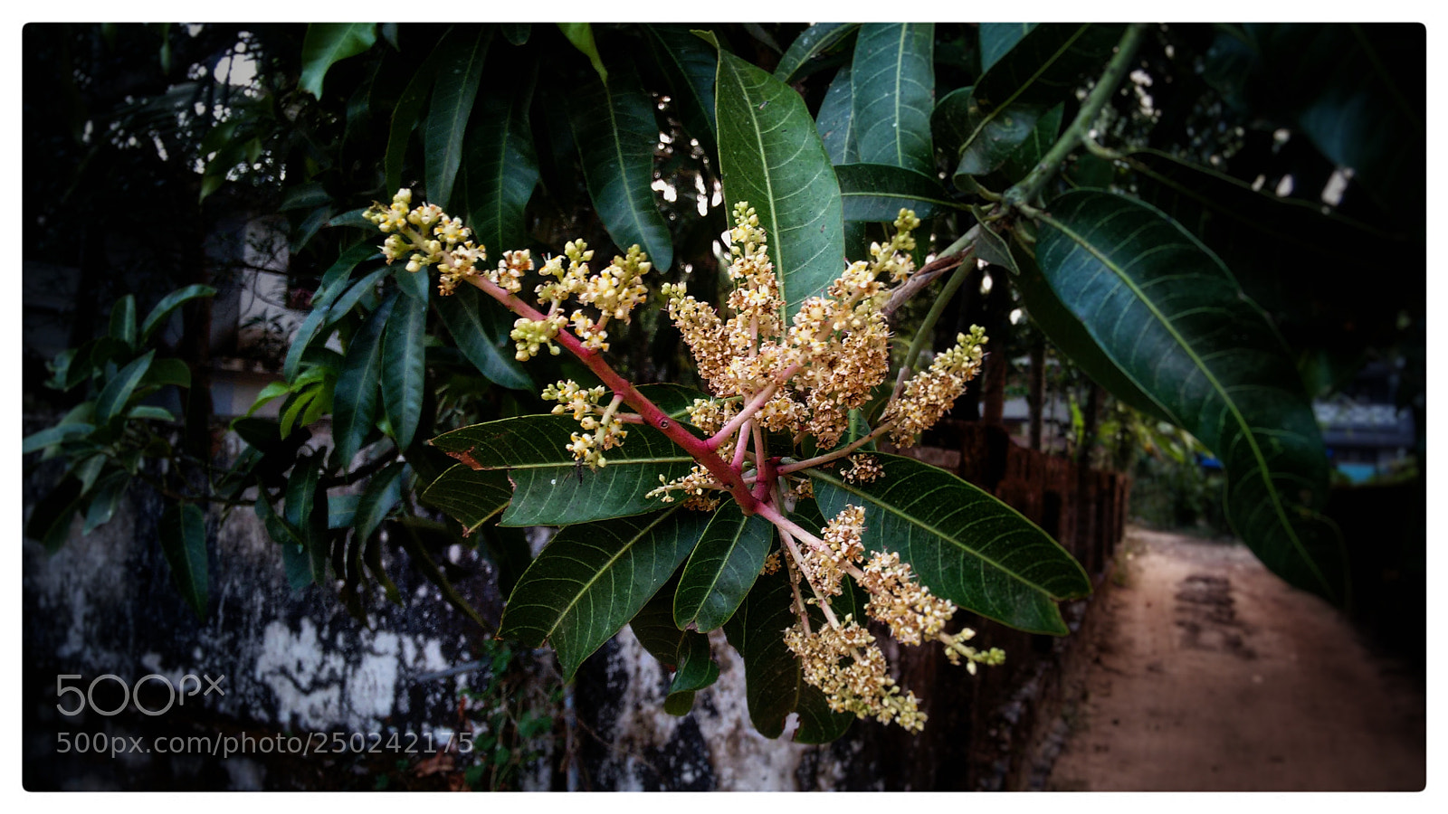 Motorola Moto G (2nd Gen) sample photo. Untitled photography
