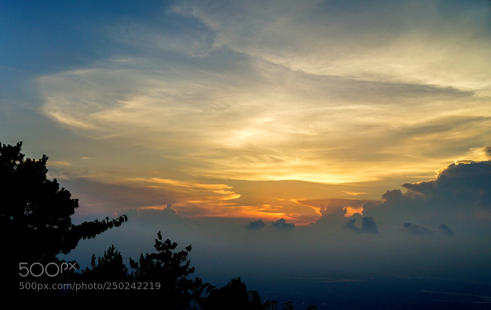 Sony a7 II sample photo. Dsc photography
