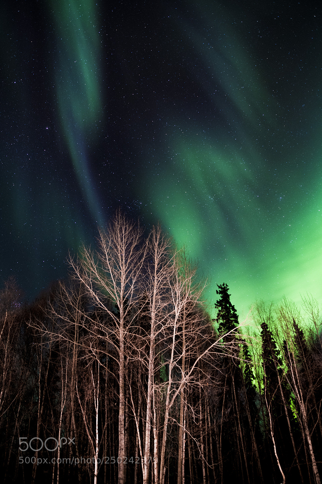Nikon D850 sample photo. Nordic light photography