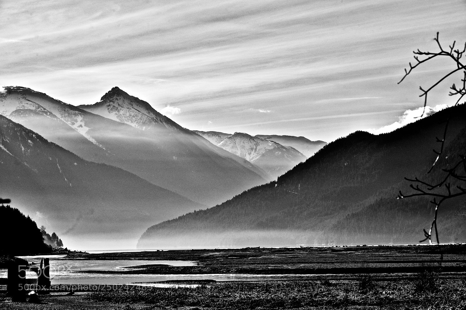 Nikon D800 sample photo. Untitled photography