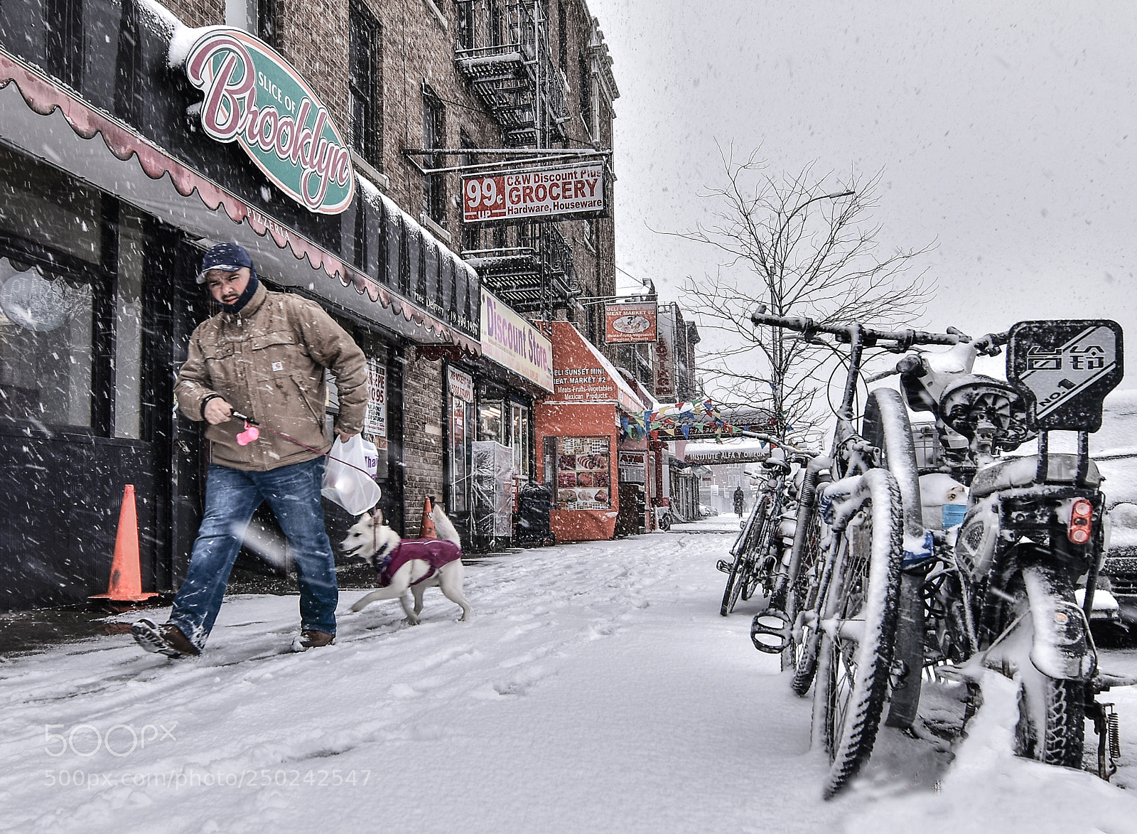 Nikon D5500 sample photo. Slice of brooklyn photography