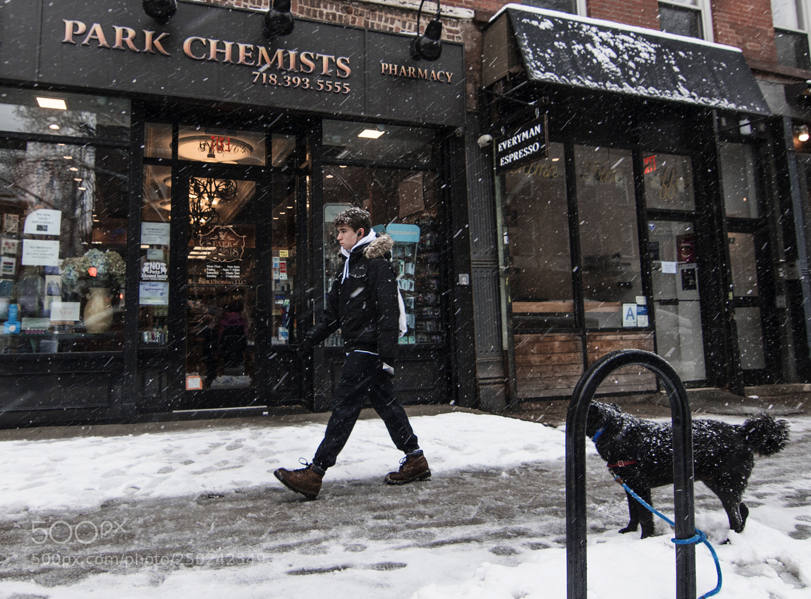 Nikon D5500 sample photo. Park chemist photography