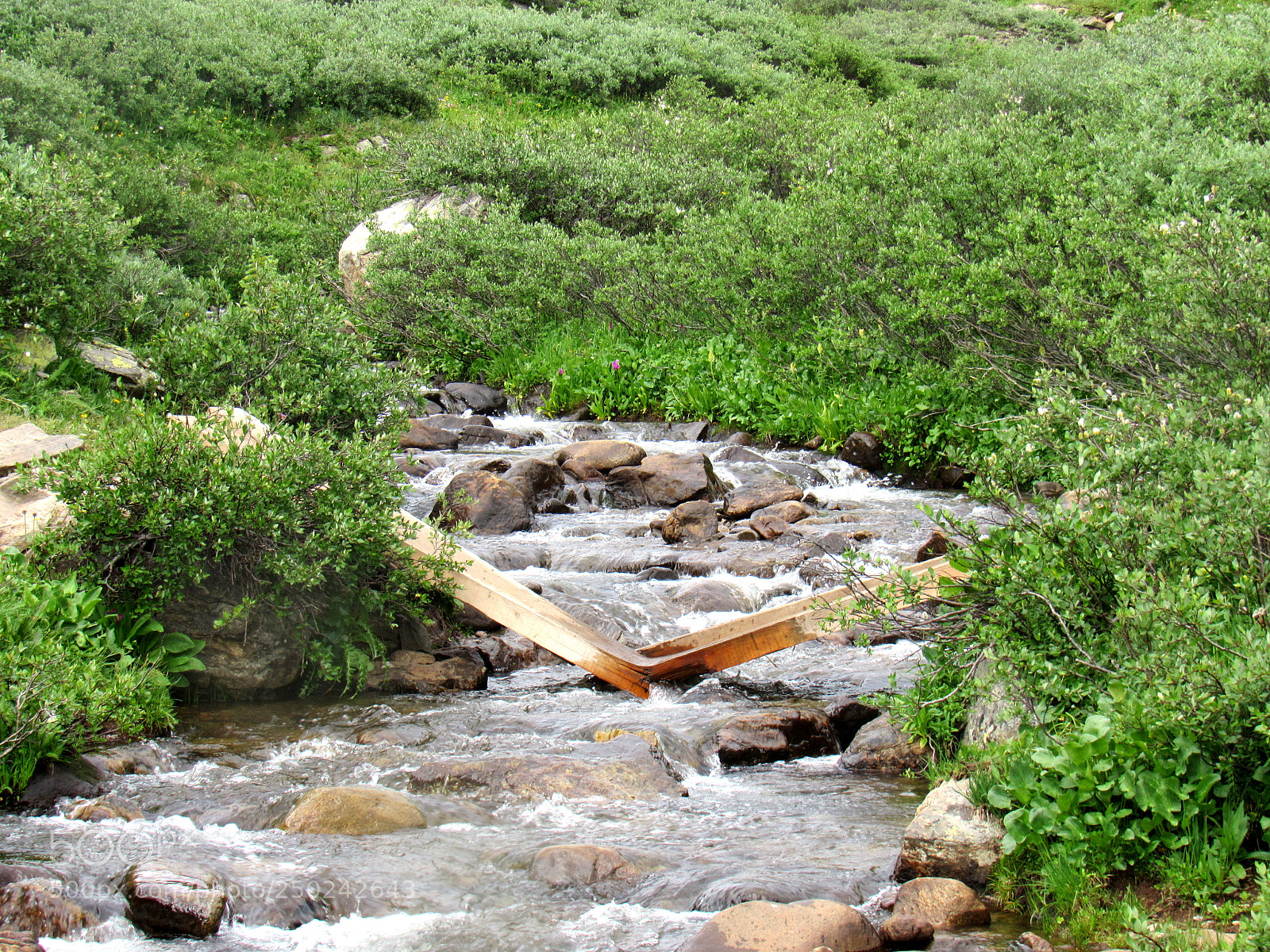 Canon PowerShot SX520 HS sample photo. Broken plank bridge photography