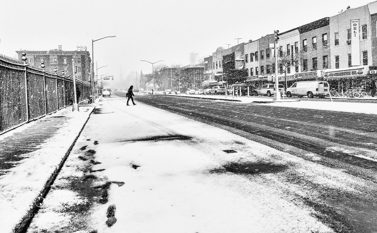 Nikon D5500 sample photo. Winter seige photography
