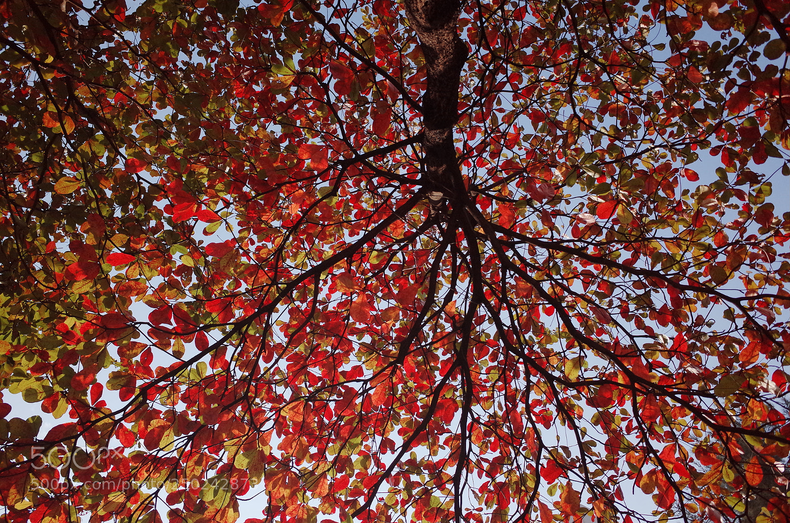 Ricoh GR sample photo. R photography