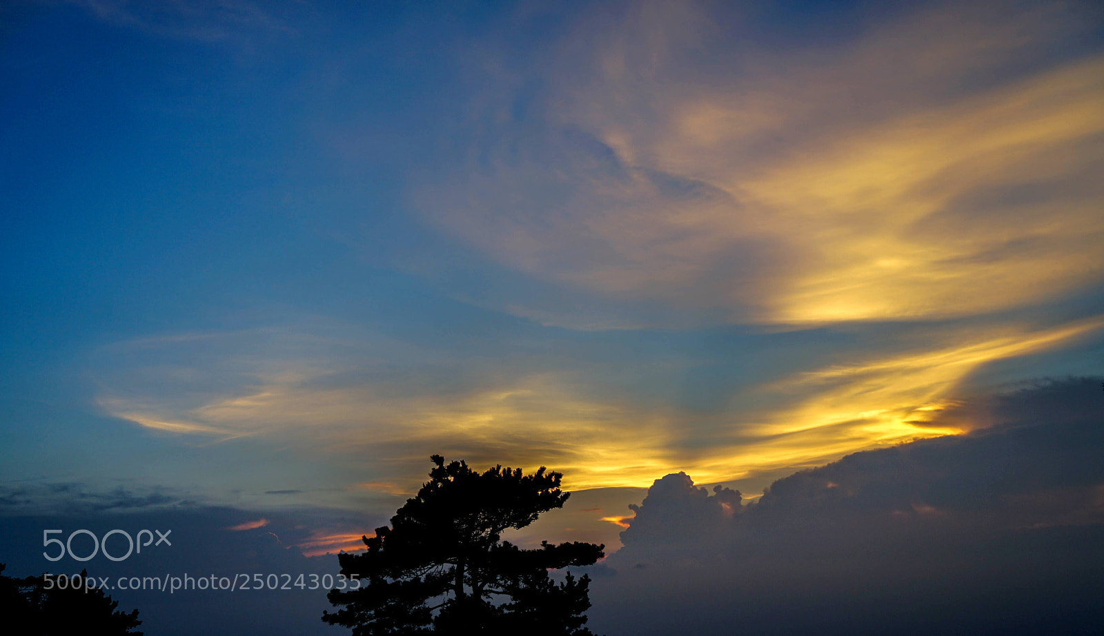 Sony a7 II sample photo. Dsc photography
