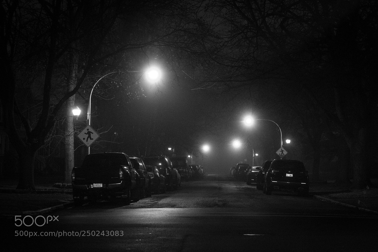 Canon EOS 60D sample photo. Fog blanket photography