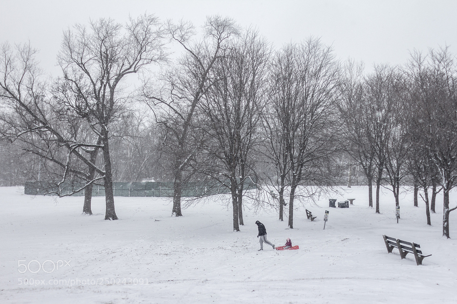 Canon EOS 60D sample photo. Sledding photography
