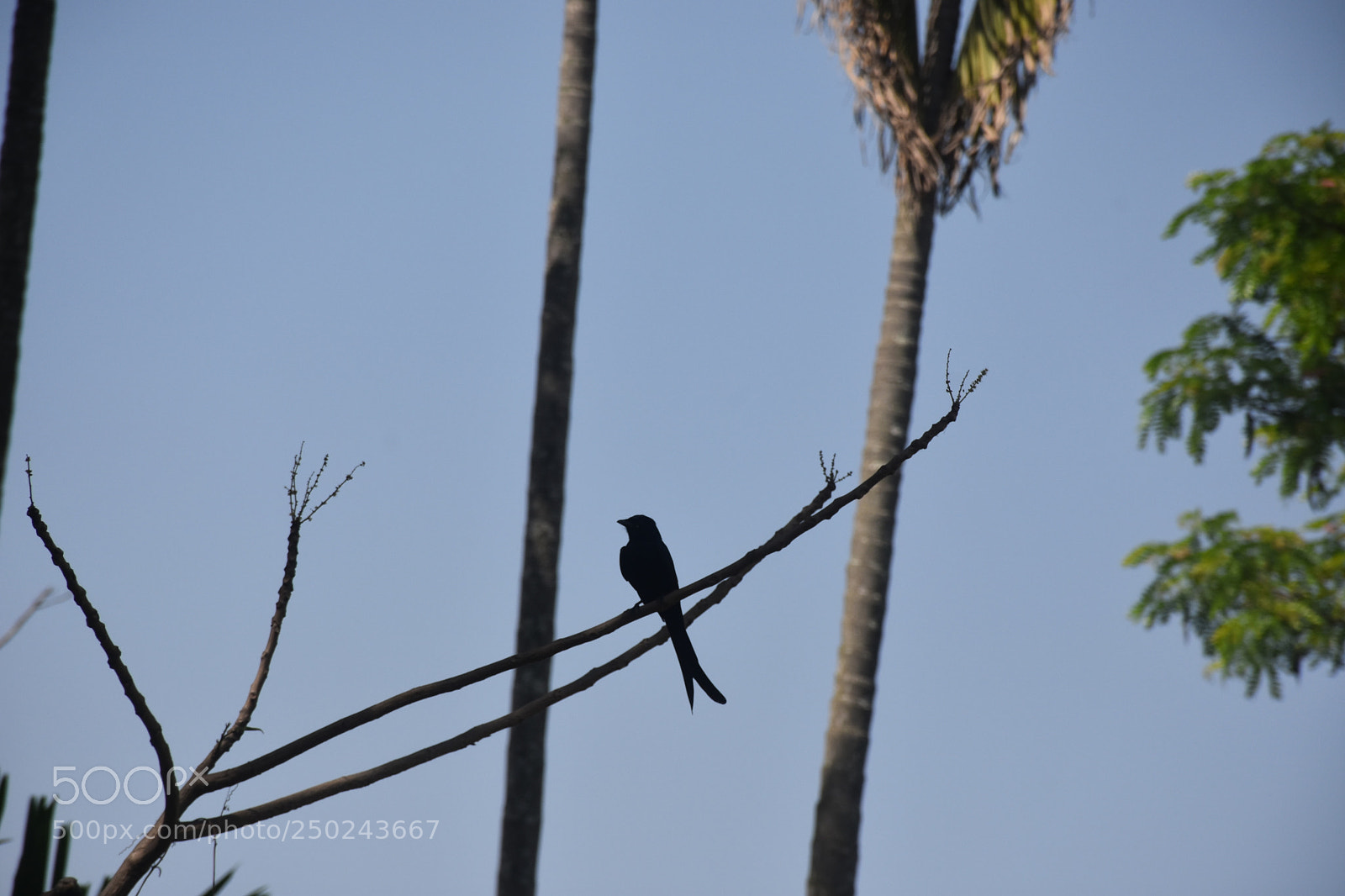 Nikon D7200 sample photo. Untitled photography