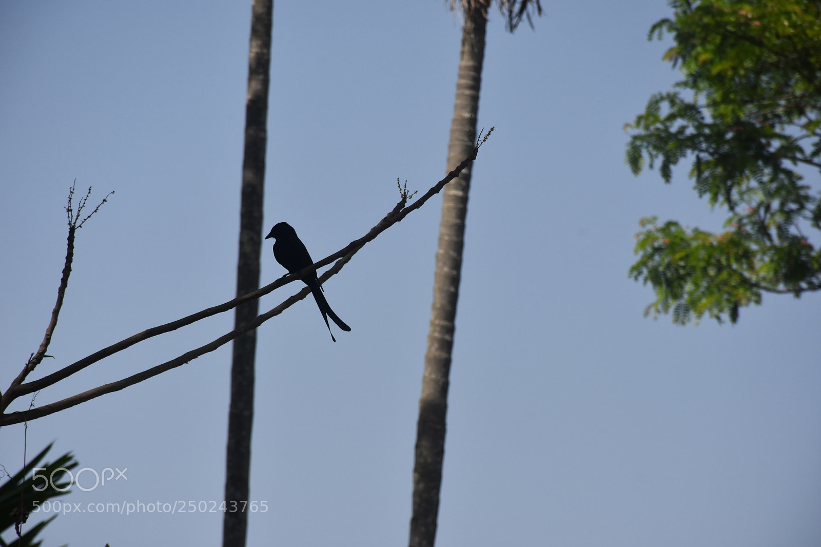 Nikon D7200 sample photo. Untitled photography