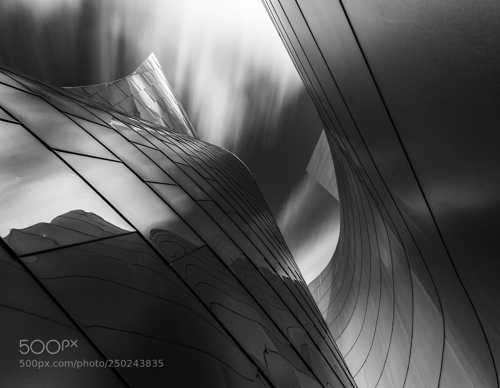 Sony a7R III sample photo. Movement photography