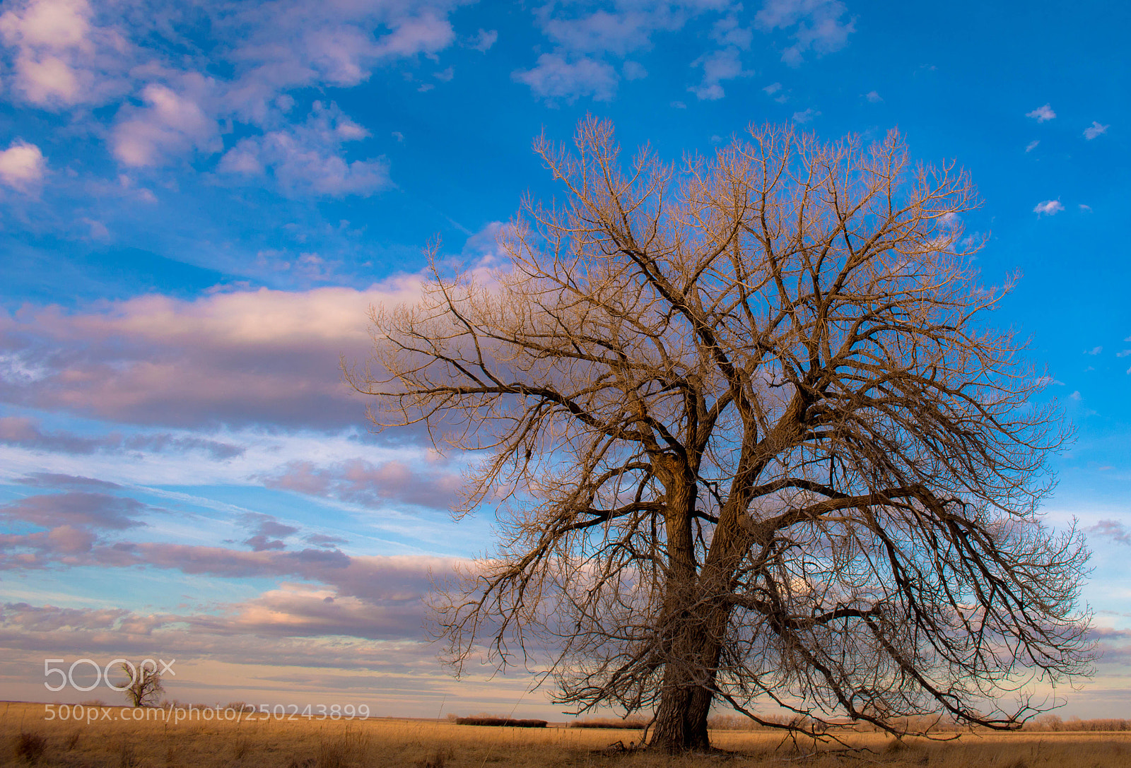 Canon EOS 70D sample photo. Celebration of dreams photography