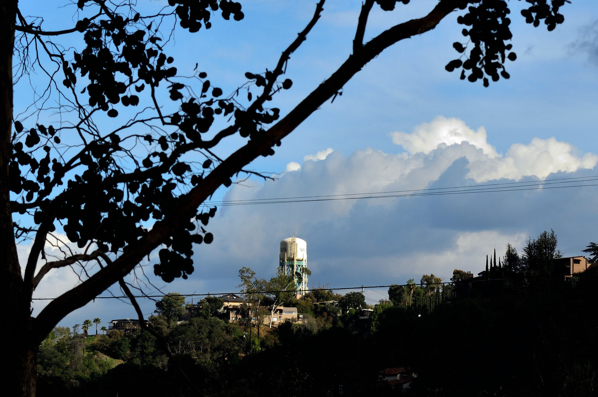 AF Zoom-Nikkor 28-85mm f/3.5-4.5 sample photo. View from my back door photography