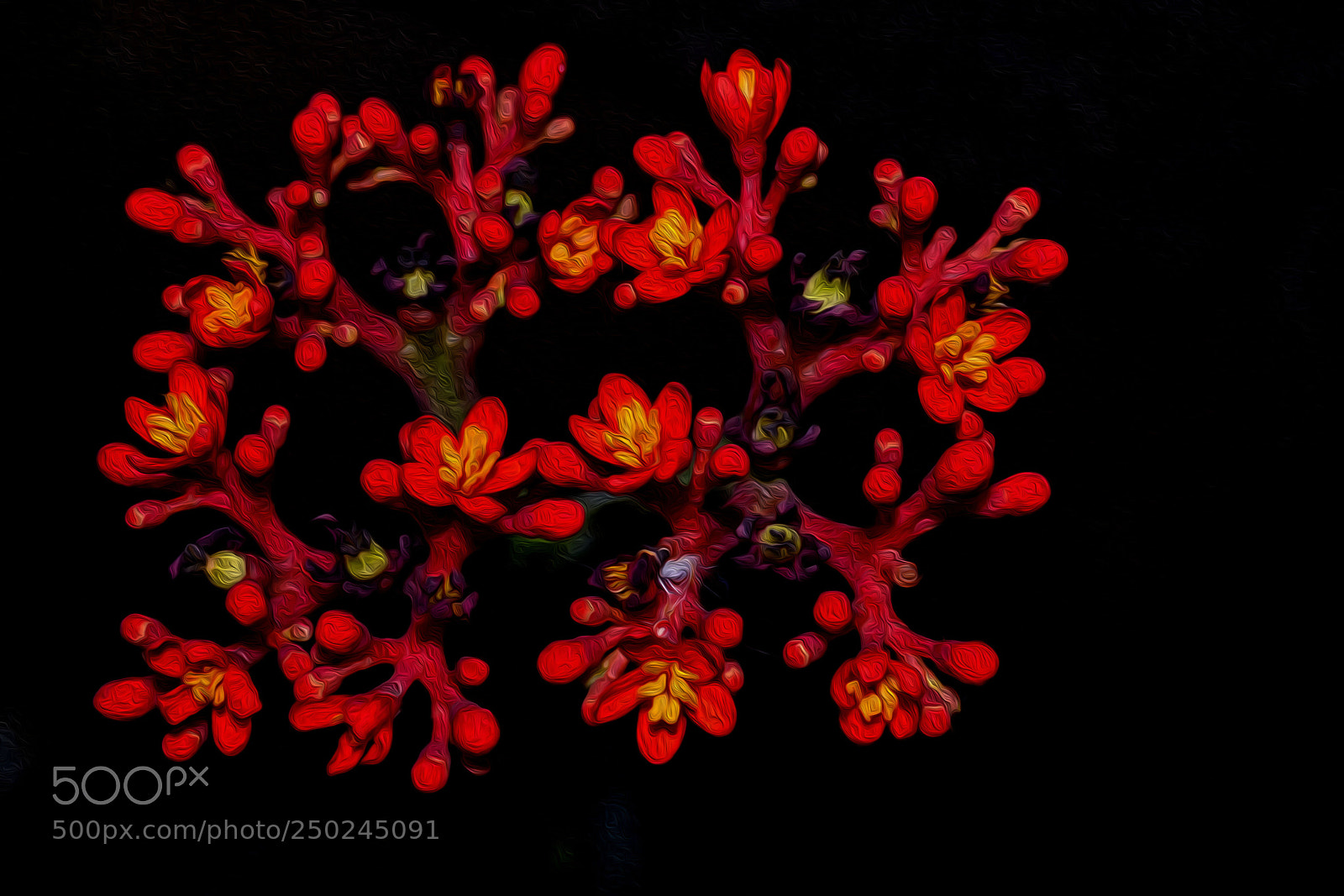 Nikon D3100 sample photo. Oil art photography