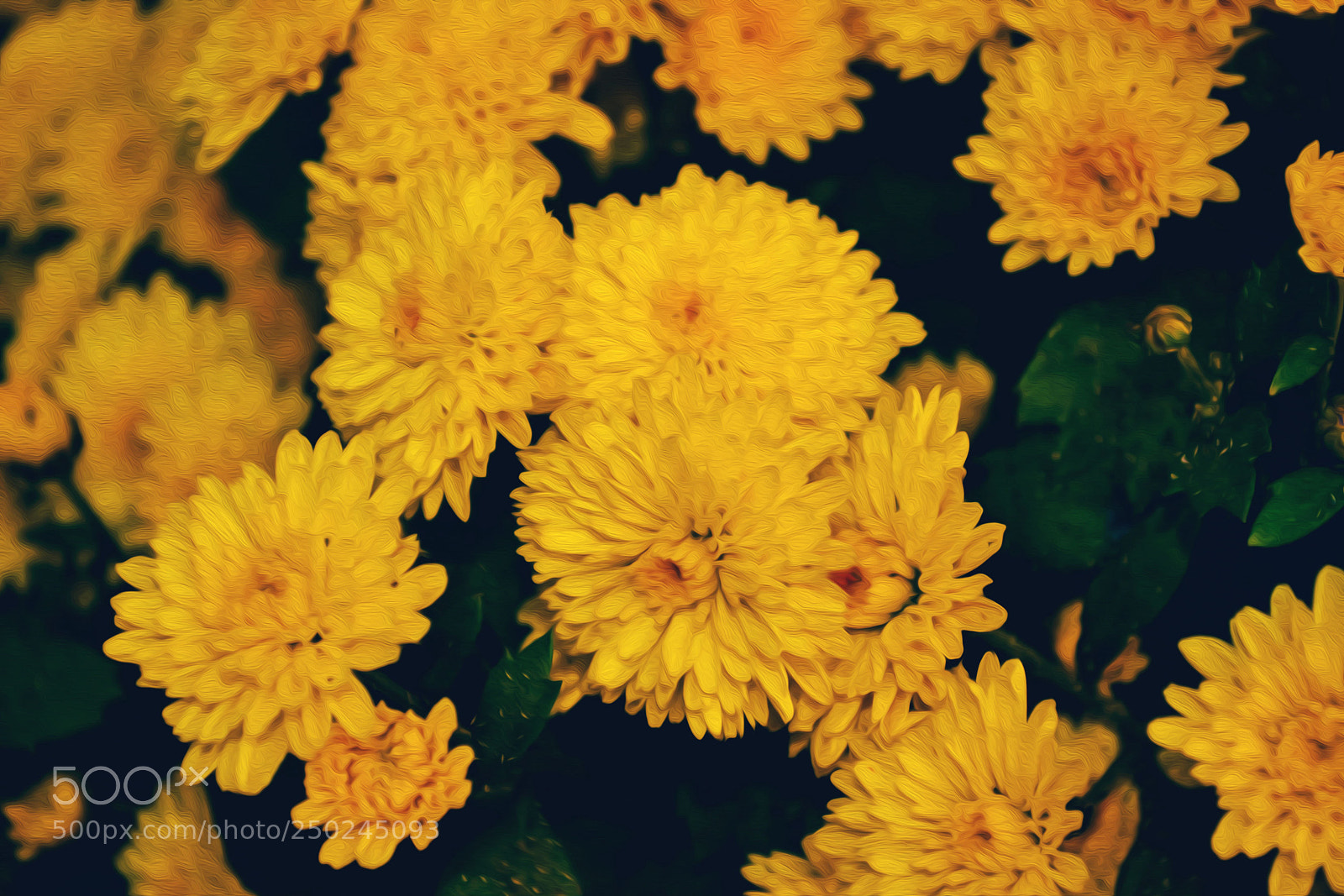 Nikon D3100 sample photo. Oil art photography