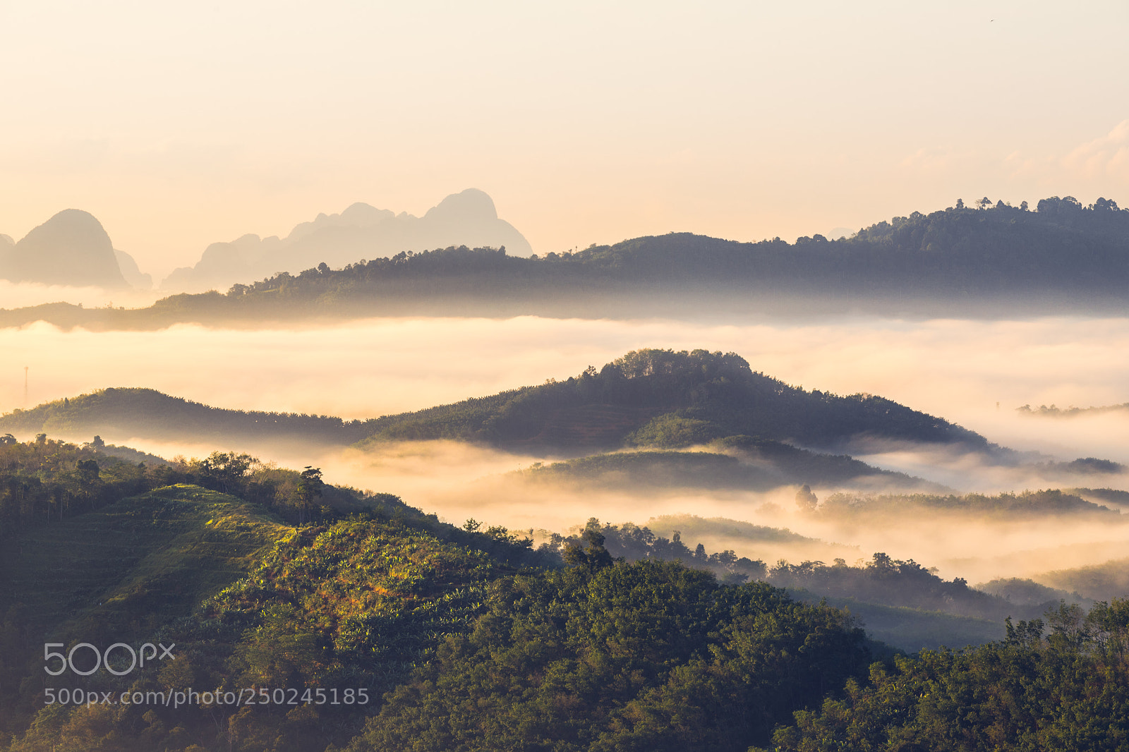 Canon EOS 6D Mark II sample photo. Misty landscape view on photography