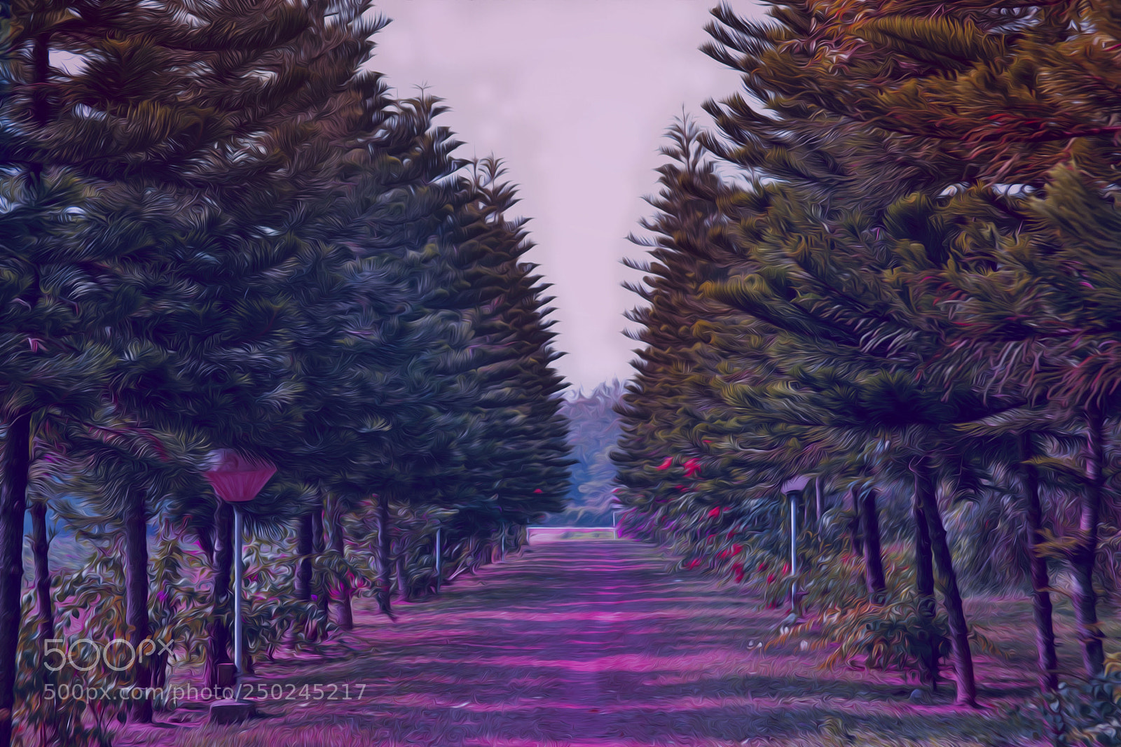 Nikon D3100 sample photo. Park photography