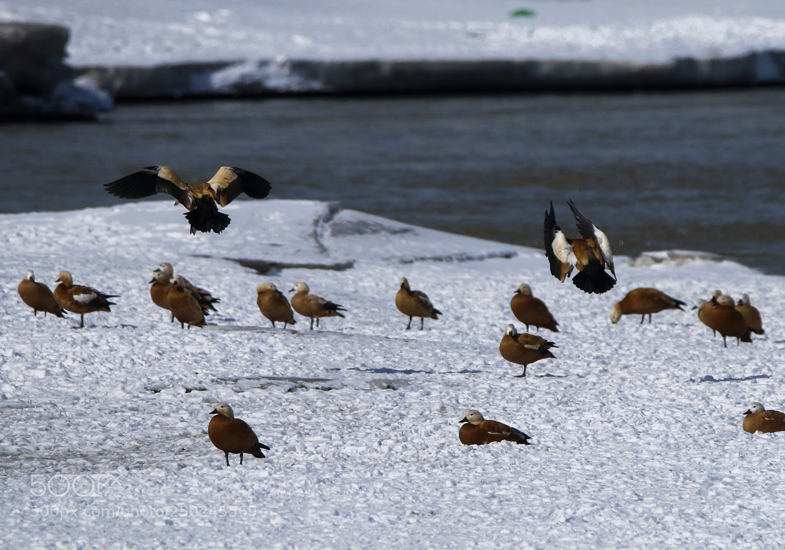 Canon EOS 70D sample photo. Land photography