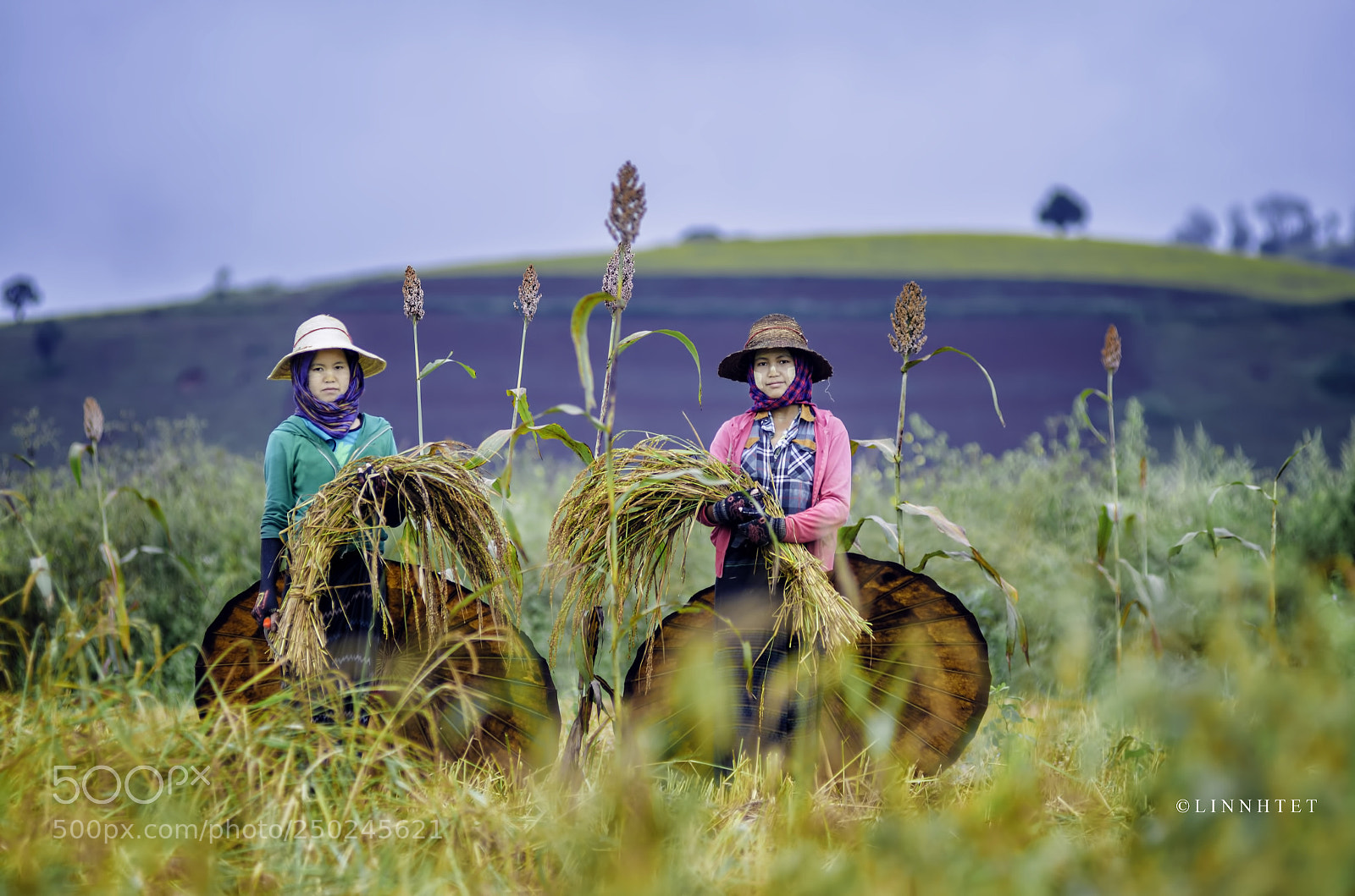Nikon D7000 sample photo. The two village girls photography