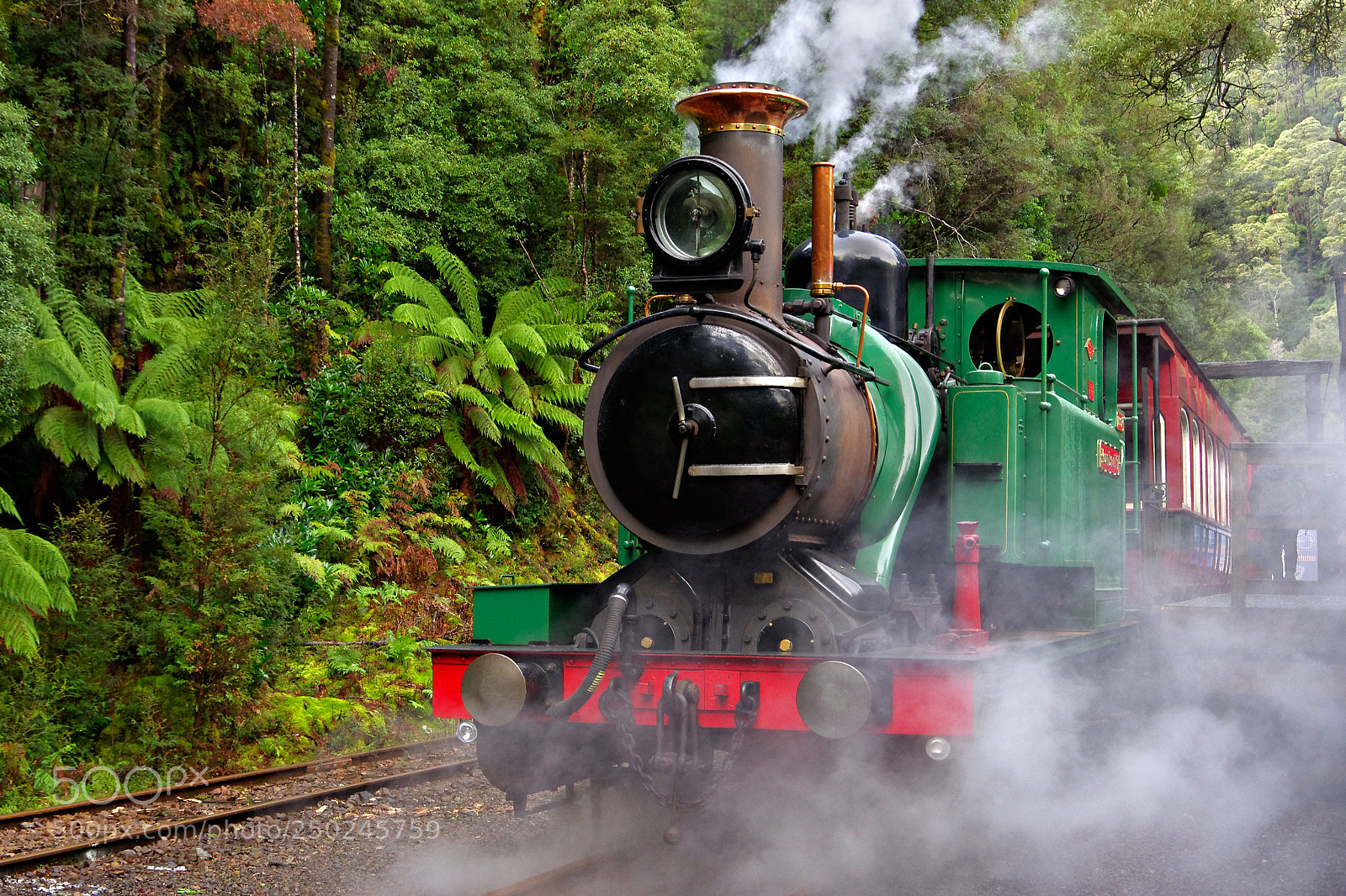 Pentax K-5 sample photo. Into the rainforest photography