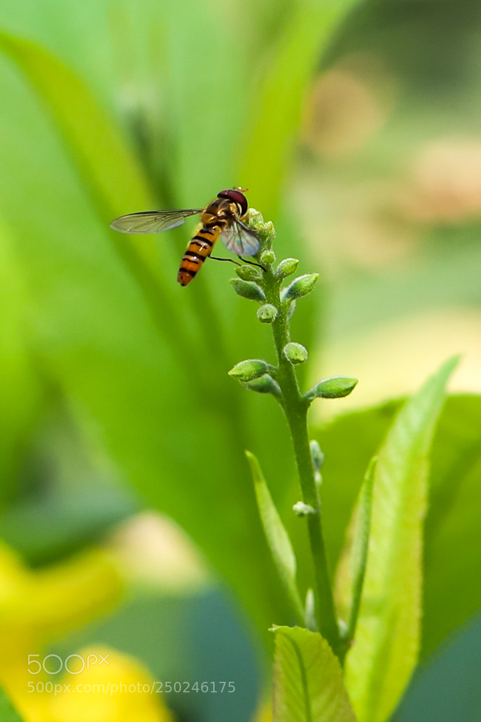 Canon EOS 6D Mark II sample photo. Untitled photography