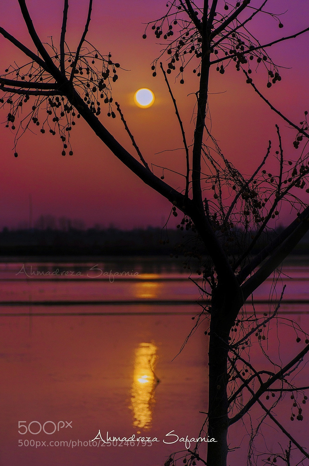 Nikon D90 sample photo. Untitled photography