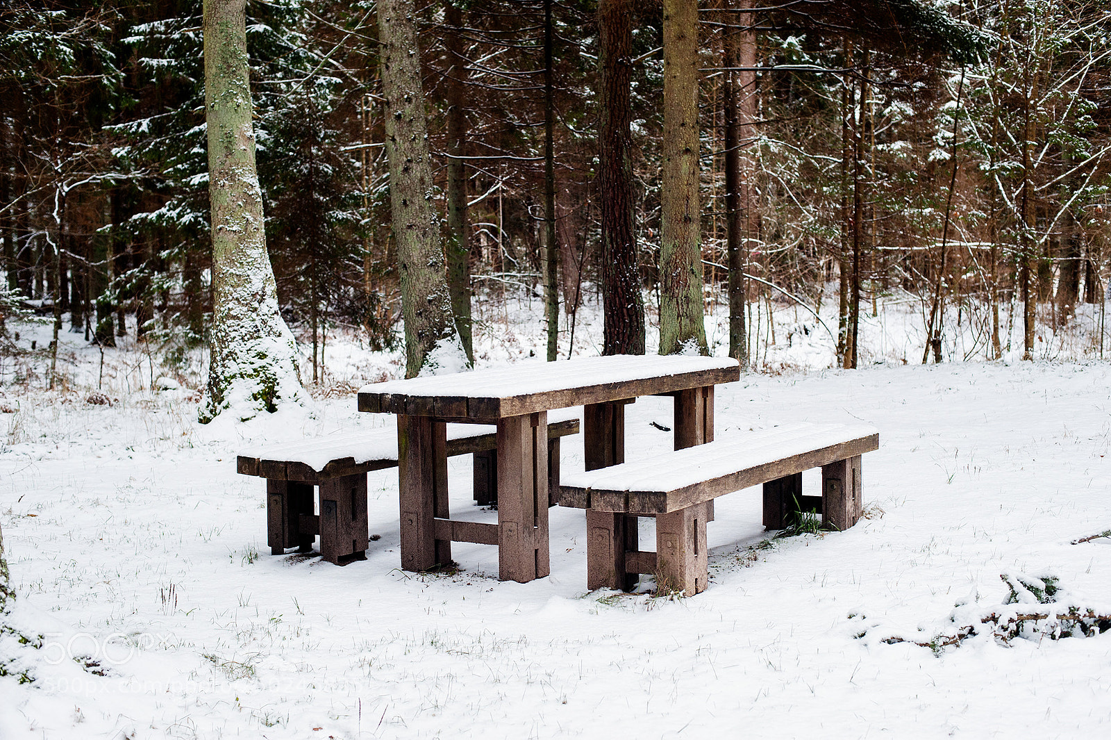 Nikon D3 sample photo. Winter photography