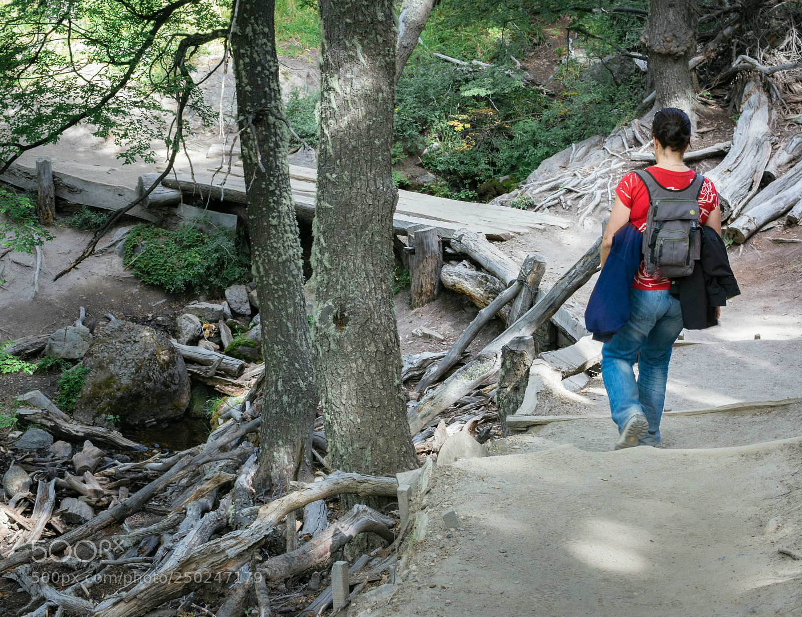 Nikon D7100 sample photo. Patagonia trail photography
