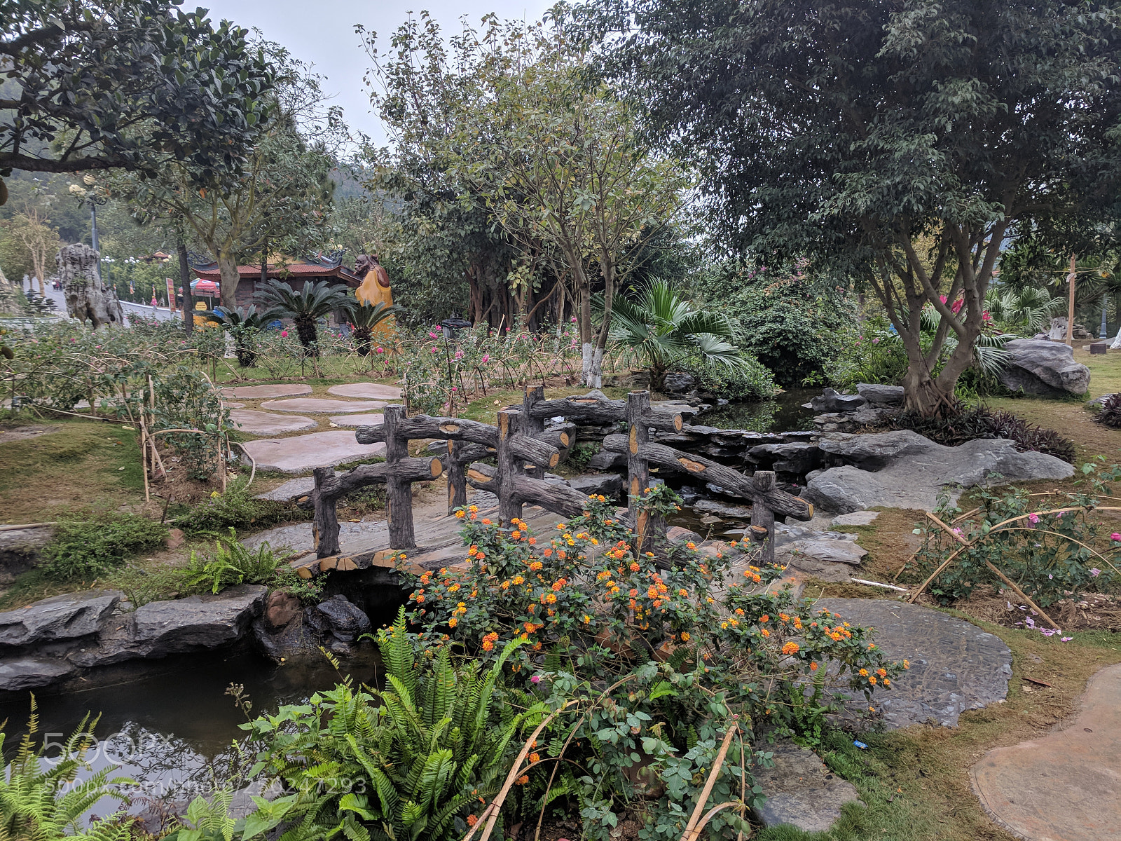 Google Pixel XL sample photo. Cây cầu photography