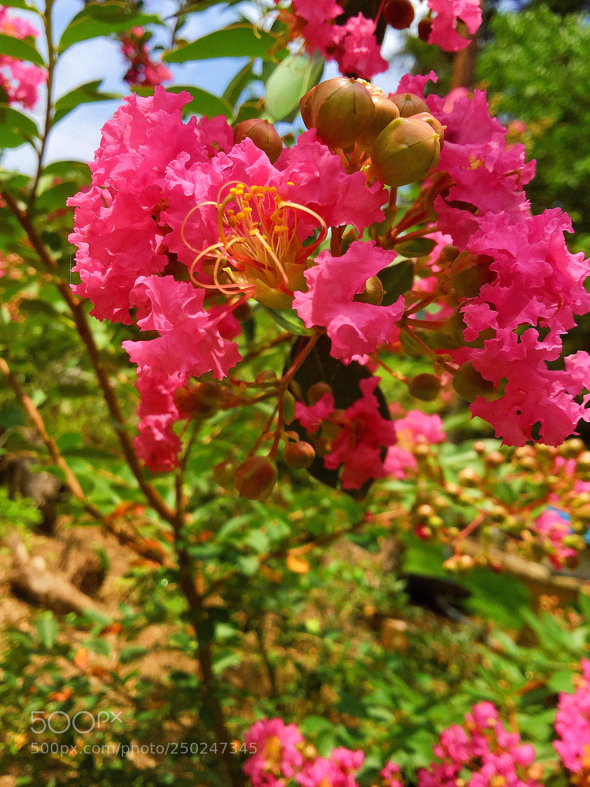 Apple iPod touch sample photo. .it takes me back. photography
