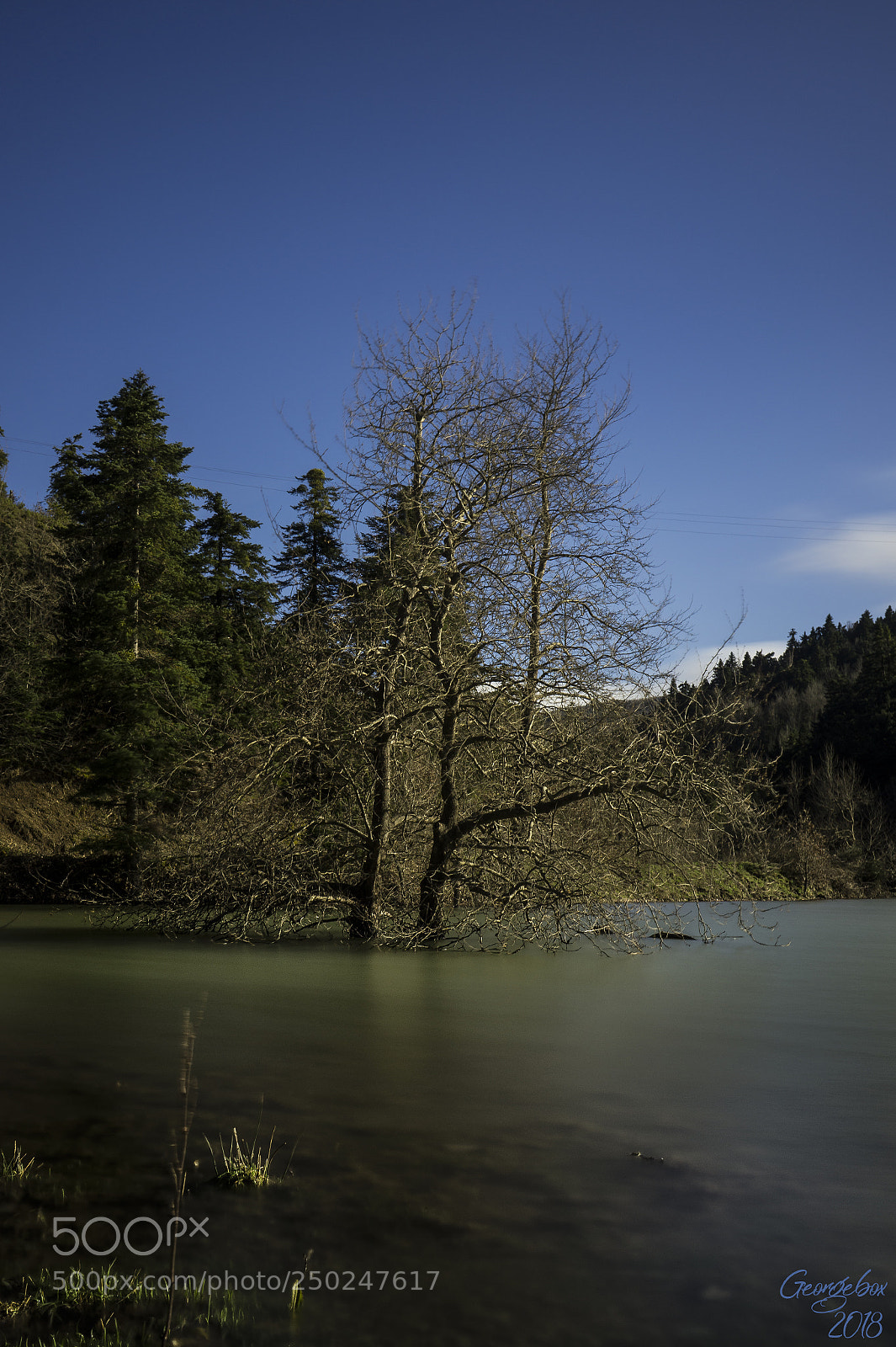 Sony Alpha a3000 sample photo. ..kastania 2... photography