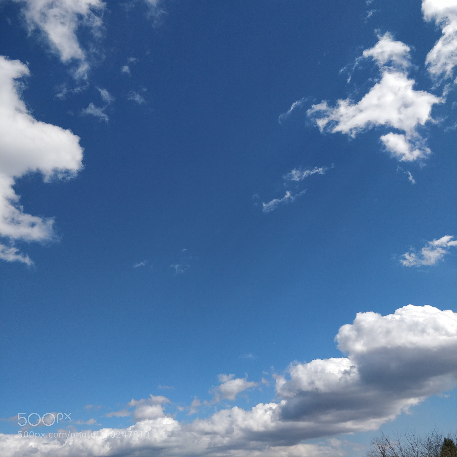 OnePlus 5 sample photo. Untitled photography