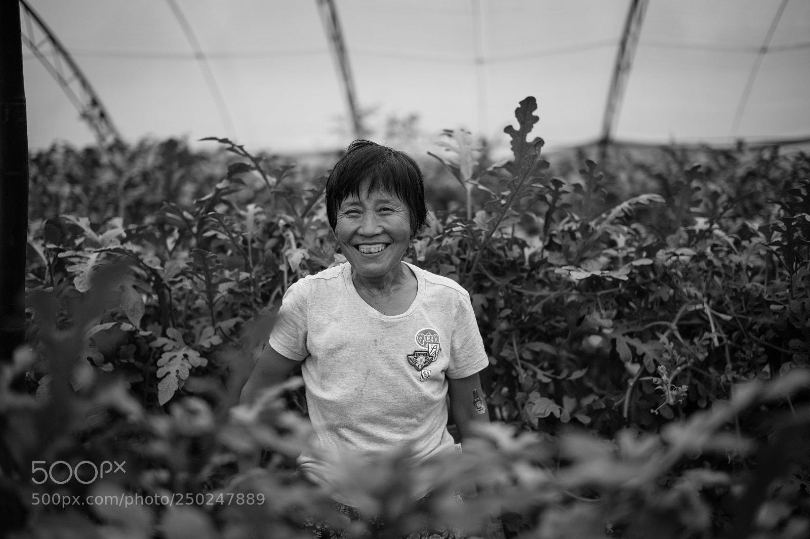 Leica M9 sample photo. Untitled photography