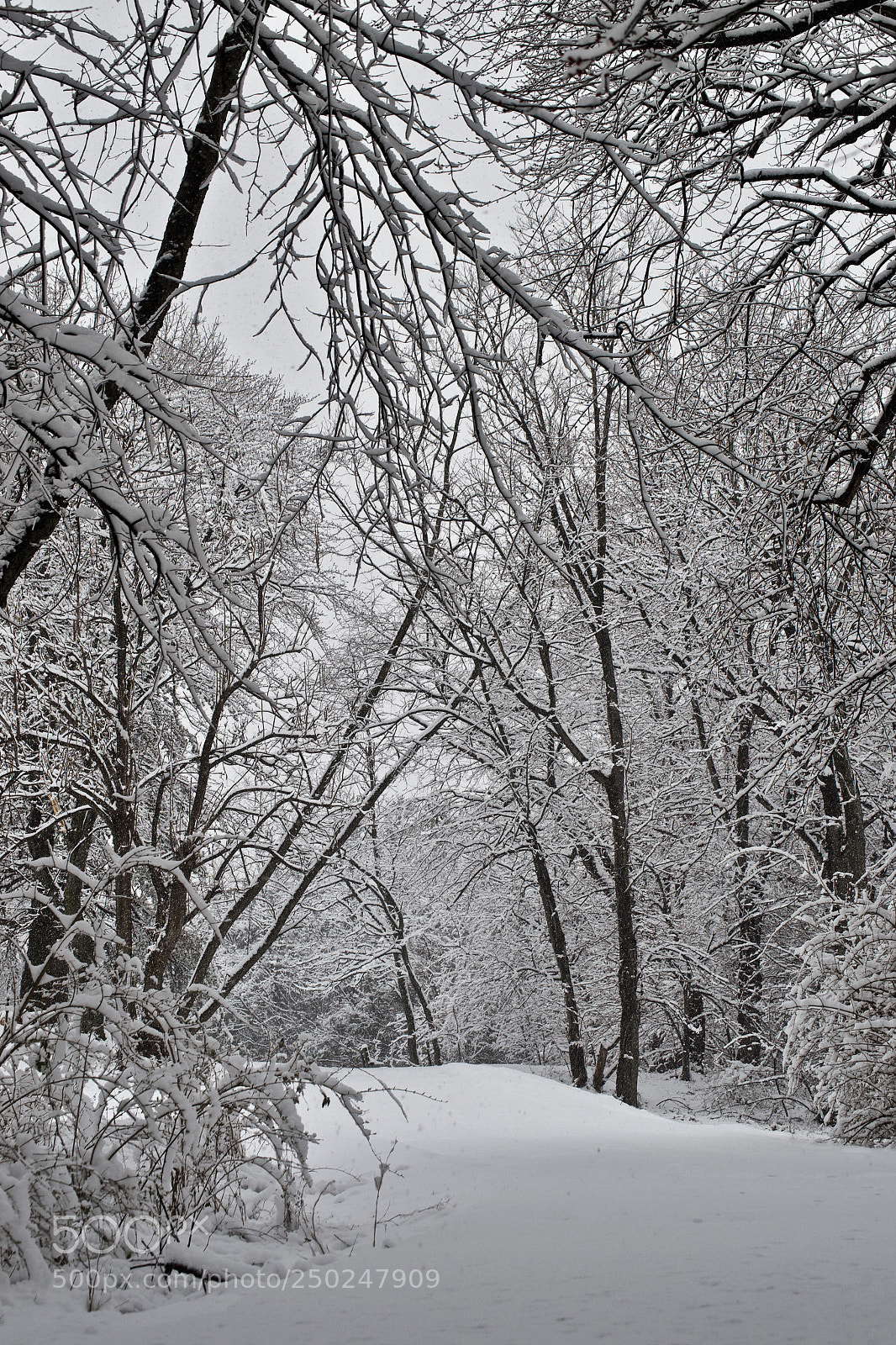Nikon D3100 sample photo. Entrance photography