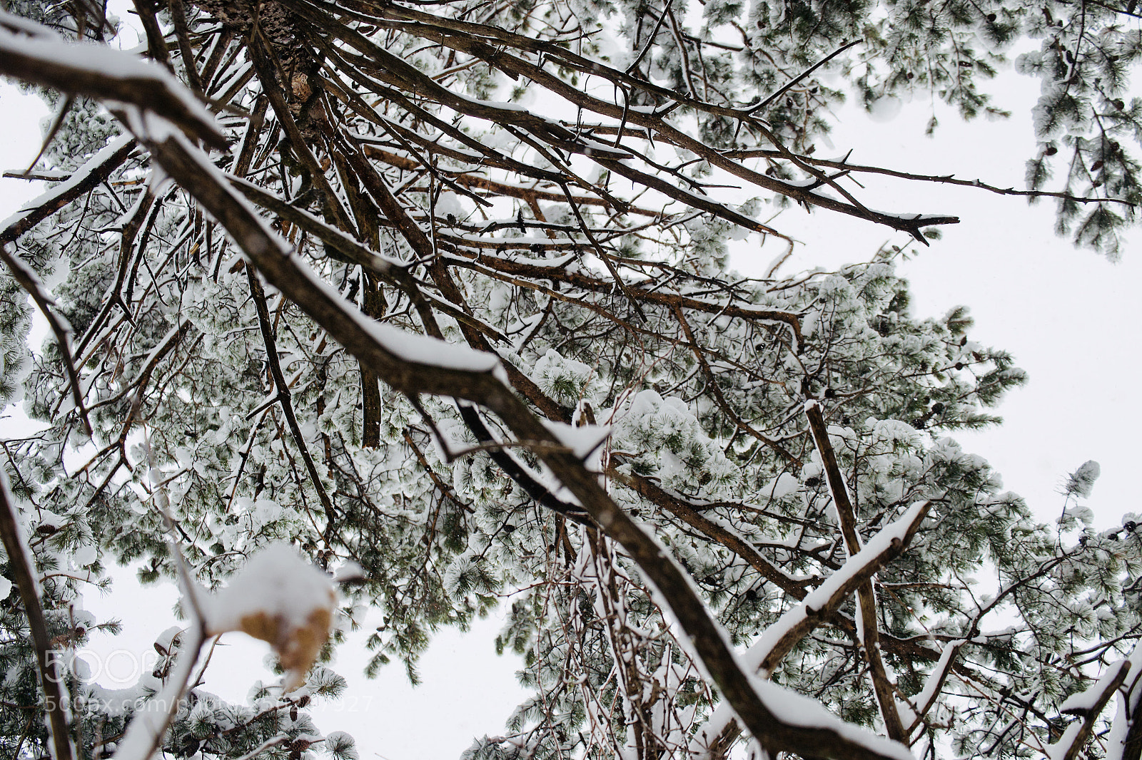 Nikon D3100 sample photo. Hidden skies photography