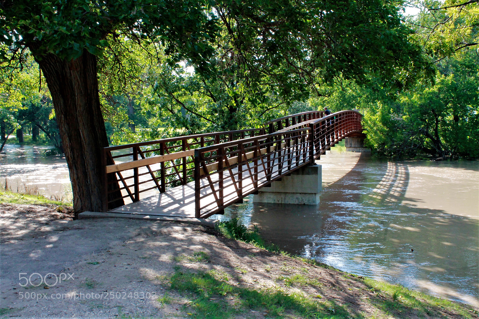 Canon EOS 1100D (EOS Rebel T3 / EOS Kiss X50) sample photo. Beautiful day photography